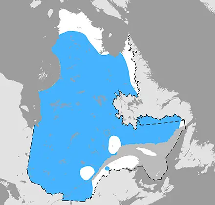 Localisation général du brochet au Québec. On peut trouver le brochet dans plusieurs lacs, rivières et dans le fleuve.