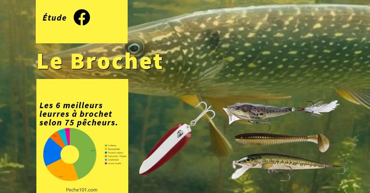 Brochet : Top 5 des leurres pour pêcher efficacement les bordures ! - DPSG