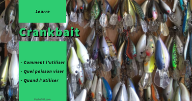Types of crankbaits and their use - Fishing 101