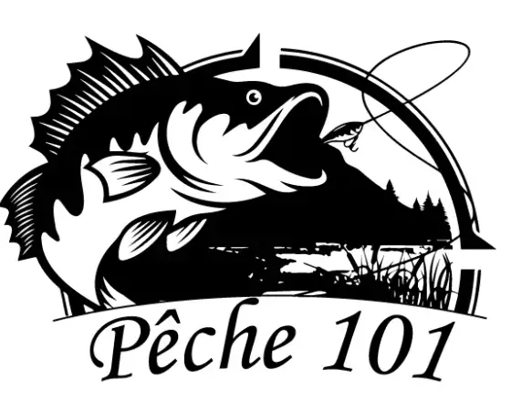 Pêche 101