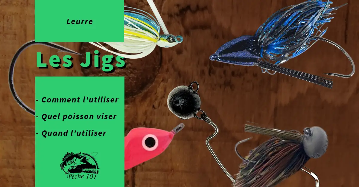 Buy Dovesun Jig Heads for Fishing, Painted Jigheads with 3D Eye