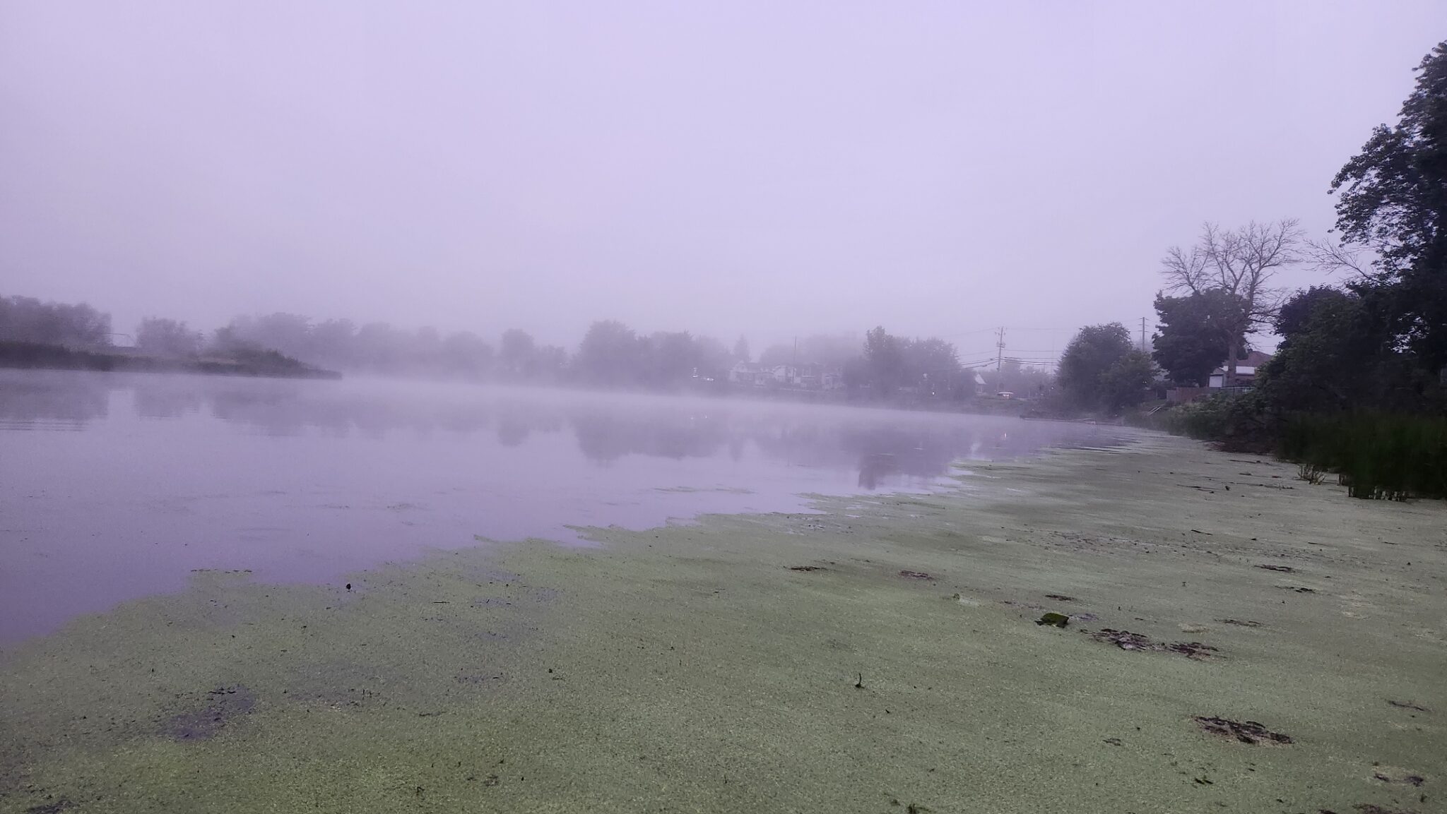 Guide Ultime de la pêche au Maskinongé (2025) Pêche 101