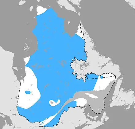 Répartition des région ou la truite grise est présente.