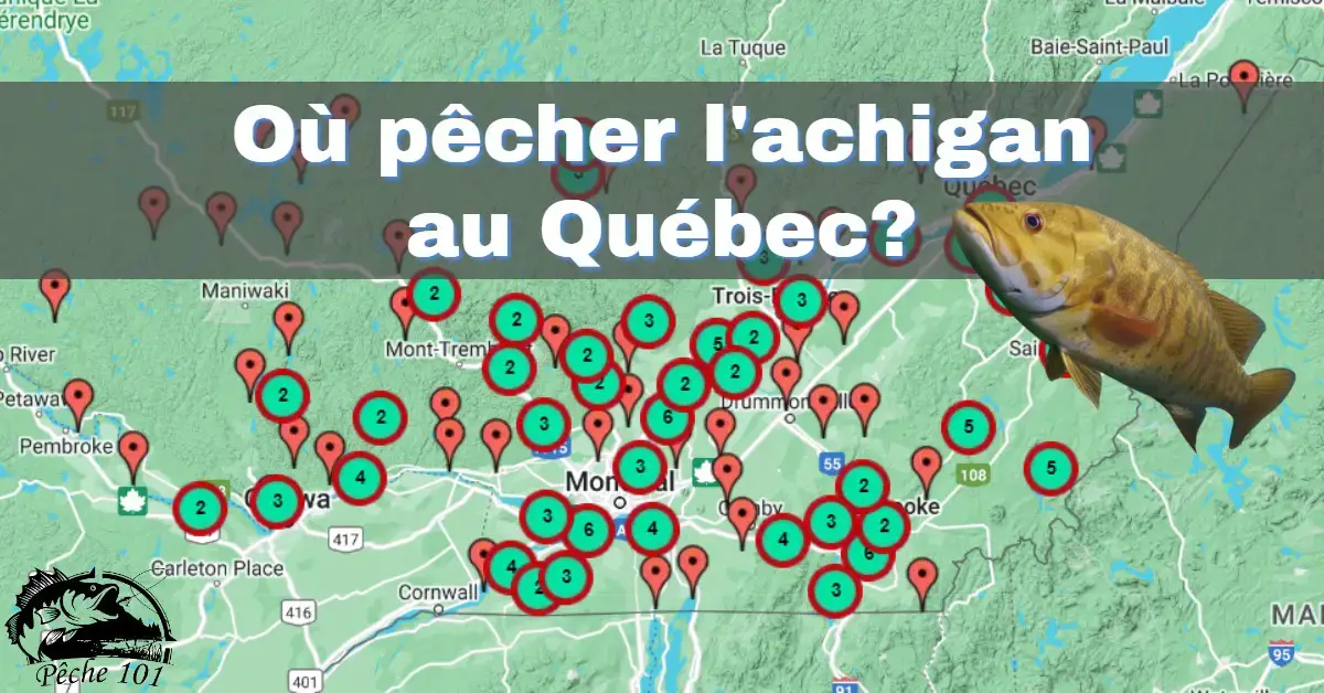 Where to fish for bass in Quebec in 2024? - Fishing 101