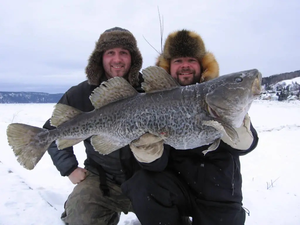 Pêche avec les guides de la Pêche du Fjord