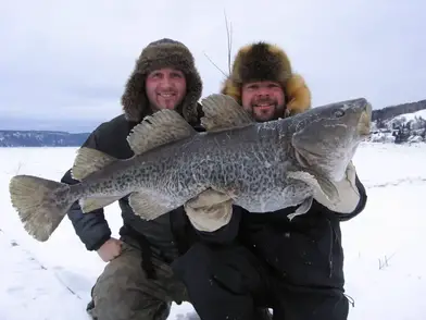 Ice fishing in the Saguenay in 2024 - Fishing 101